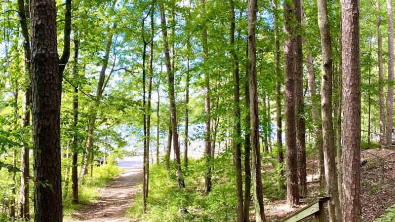 Buffalo Park and Campground - Buffalo Junction, VA