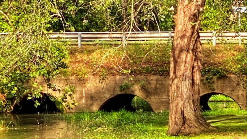 Buffalo Springs National Historic Site - Buffalo Junction, VA