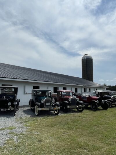 Woodbine Vineyards - Buffalo Junction, VA