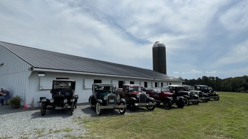 Woodbine Vineyards - Buffalo Junction, VA