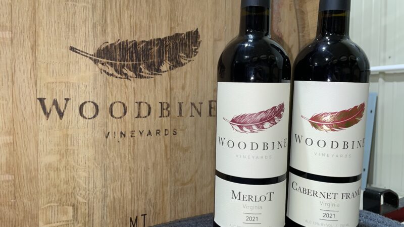 Woodbine Vineyards - Buffalo Junction, VA
