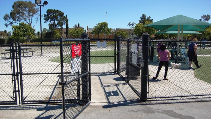 Dog Park - Buffalo, NY