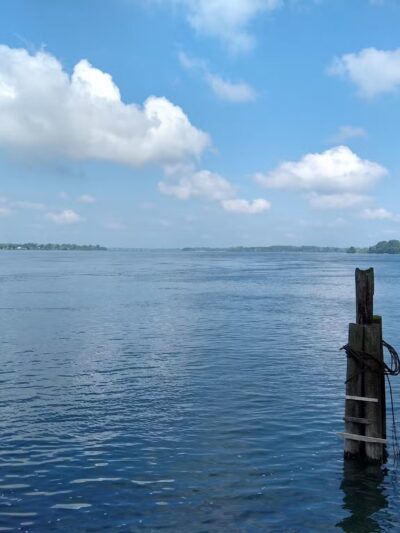 Dog Park - Buffalo, NY