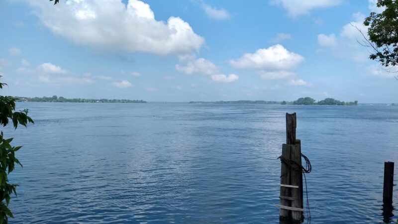 Dog Park - Buffalo, NY