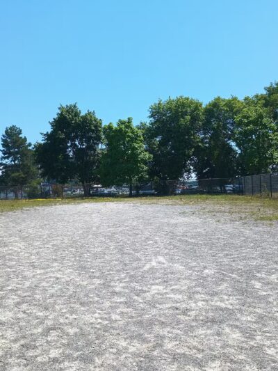 Dog Park - Buffalo, NY