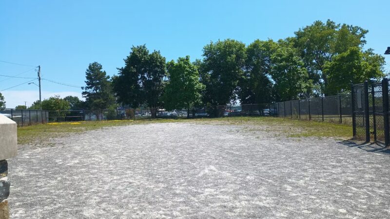 Dog Park - Buffalo, NY