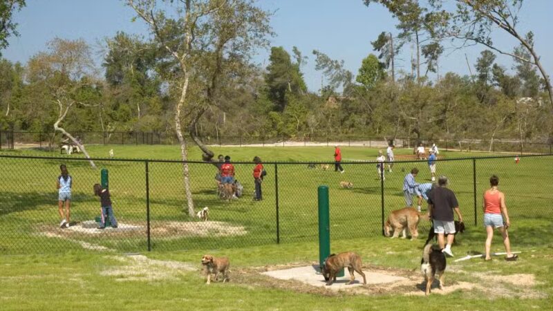 Dog Park - Buffalo, NY