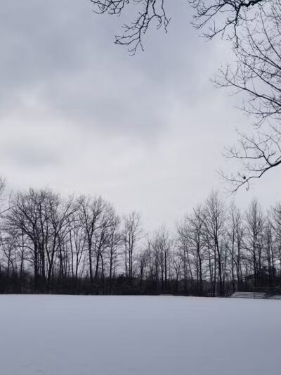 Orchard Acres Park - Buffalo, NY