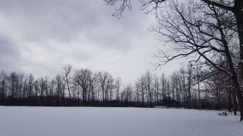 Orchard Acres Park - Buffalo, NY