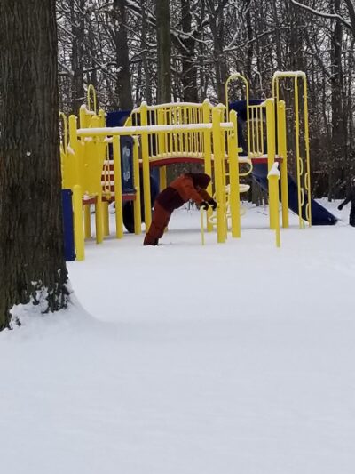 Orchard Acres Park - Buffalo, NY