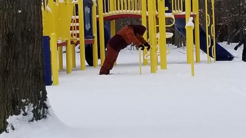 Orchard Acres Park - Buffalo, NY