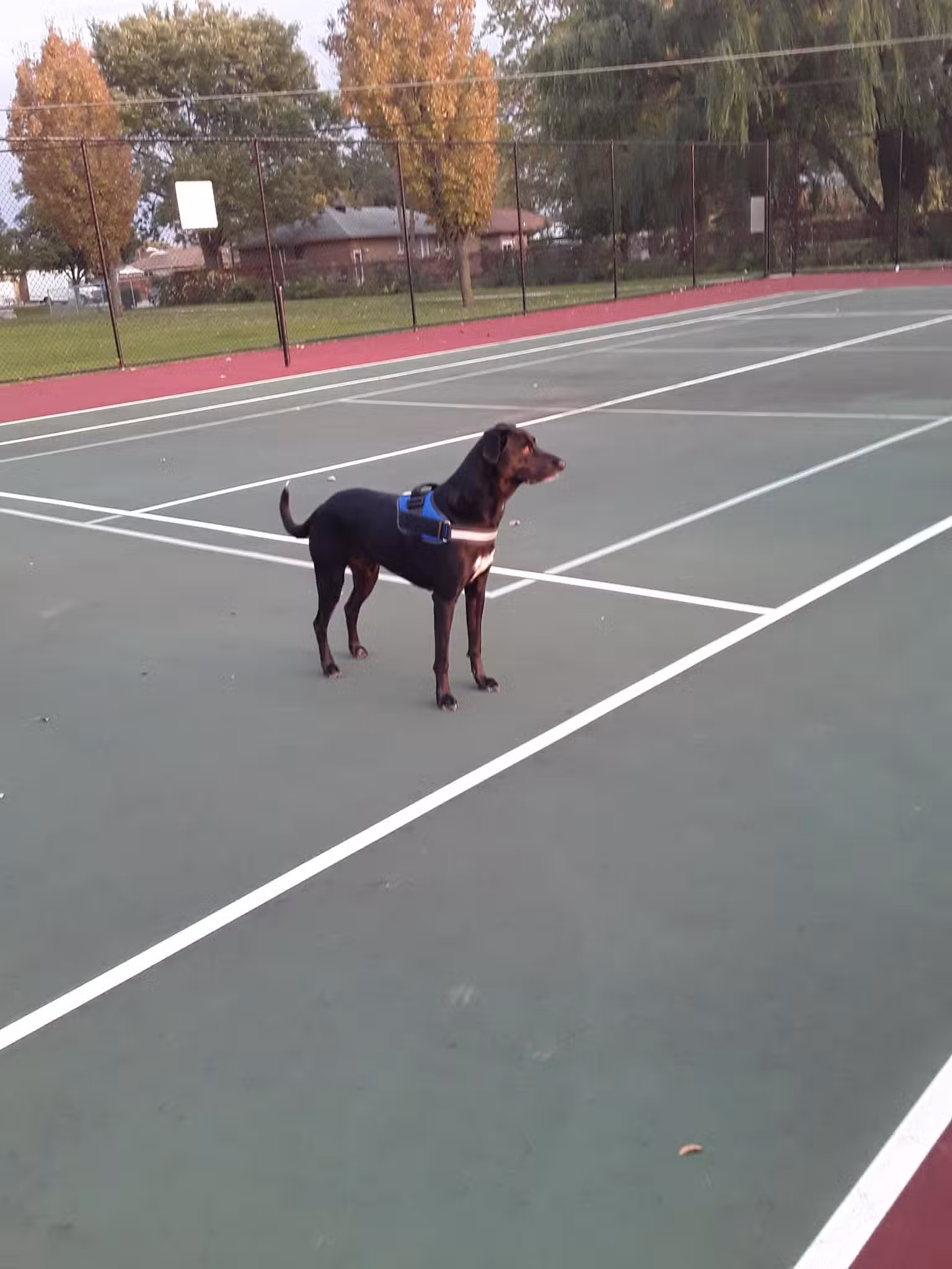 Raymond Park - Buffalo, NY