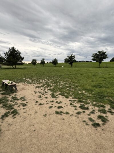 Temporary Dog Park (Ralph Wilson Park) - Buffalo, NY