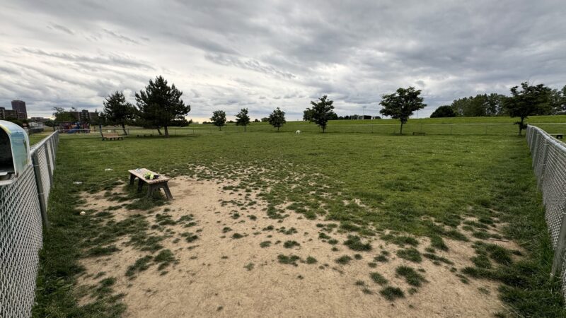 Temporary Dog Park (Ralph Wilson Park) - Buffalo, NY