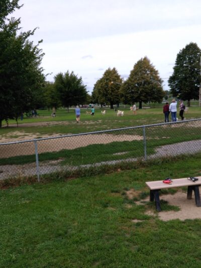 The Barkyard - Off-Leash Dog Park - Buffalo, NY