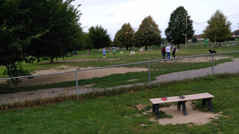 The Barkyard - Off-Leash Dog Park - Buffalo, NY