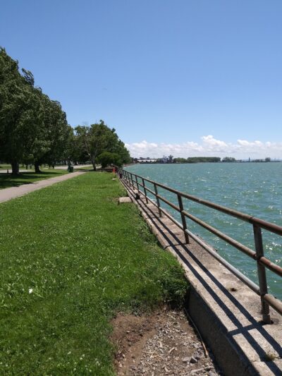 The Barkyard - Off-Leash Dog Park - Buffalo, NY
