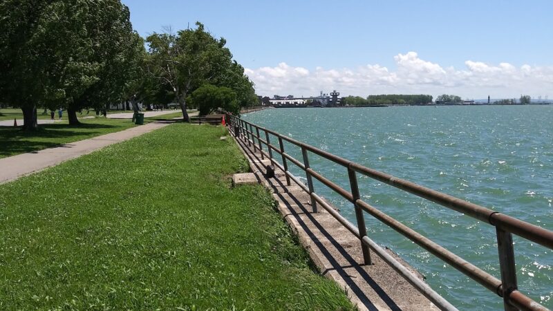 The Barkyard - Off-Leash Dog Park - Buffalo, NY