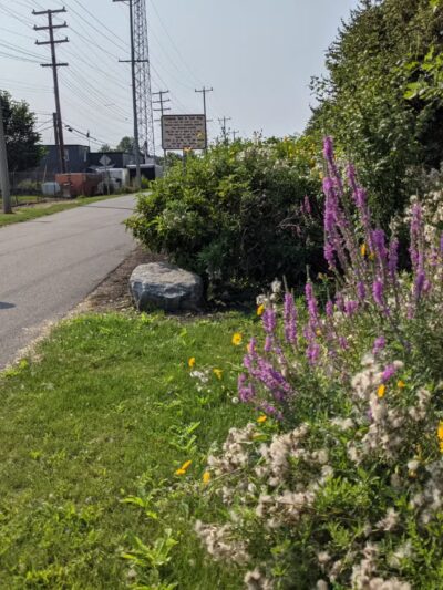 Tonawanda Rails-To-Trails - Buffalo, NY