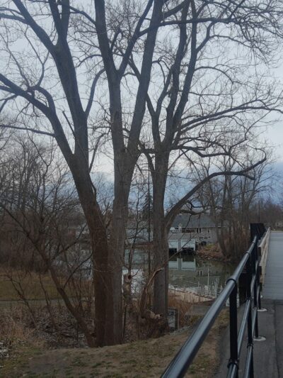 Tonawanda Rails to Trails (Englewood to Harrison) - Buffalo, NY