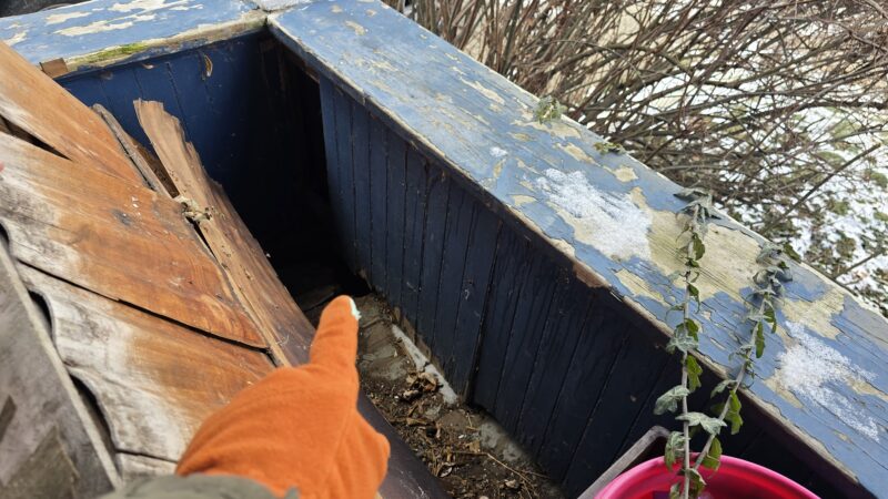 Tyler & Flower Triangle Park - Buffalo, NY