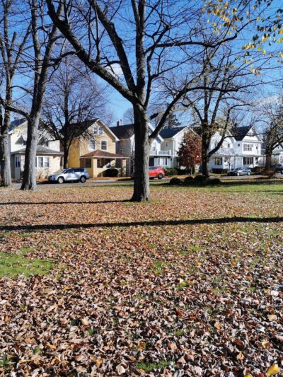 Tyler & Flower Triangle Park - Buffalo, NY