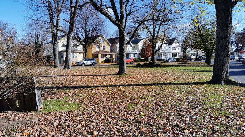 Tyler & Flower Triangle Park - Buffalo, NY