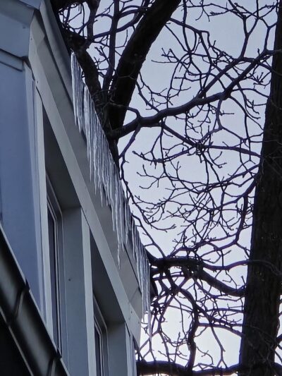 Tyler & Flower Triangle Park - Buffalo, NY