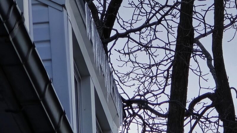 Tyler & Flower Triangle Park - Buffalo, NY