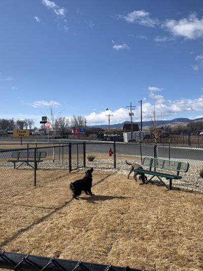 Dog Park at Love's Travel Stops - Buffalo, WY