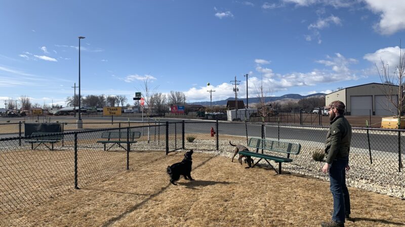 Dog Park at Love's Travel Stops - Buffalo, WY