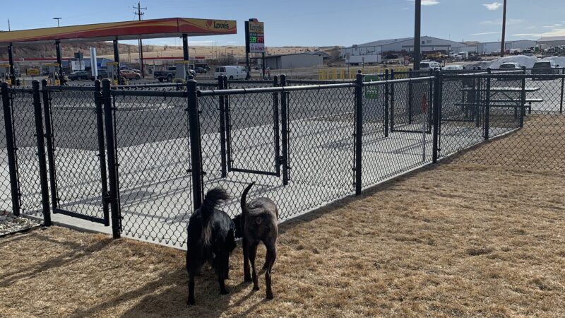 Dog Park at Love's Travel Stops - Buffalo, WY