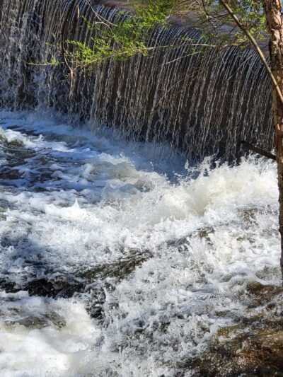 Ivy Creek Greenway - Buford, GA