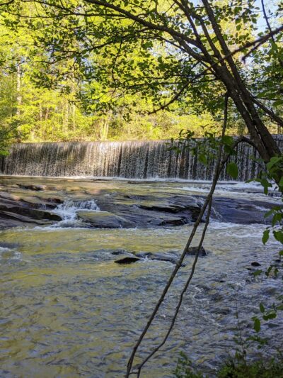 Ivy Creek Greenway - Buford, GA