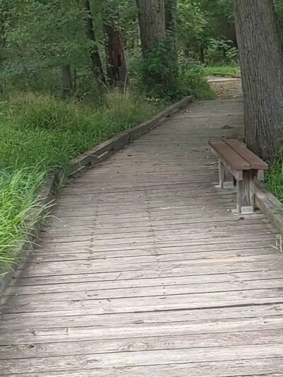 Ivy Creek Greenway - Buford, GA