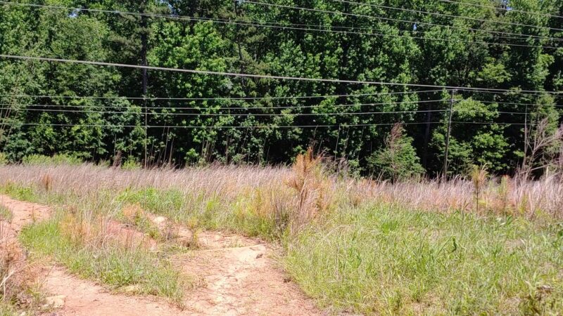 Lake Lanier picnic free area - Buford, GA