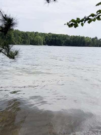 Lake Lanier picnic free area - Buford, GA