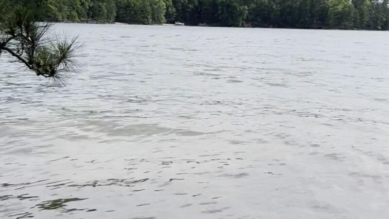 Lake Lanier picnic free area - Buford, GA