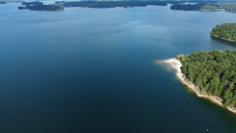 Lake Lanier picnic free area - Buford, GA