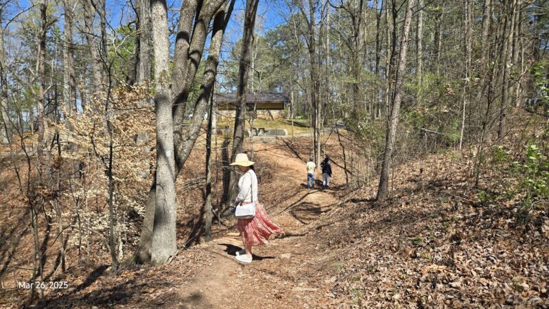 Lake Lanier picnic free area - Buford, GA