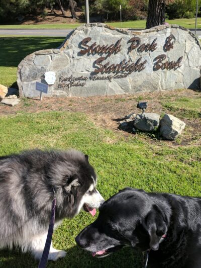 Stough Canyon Park - Burbank, CA