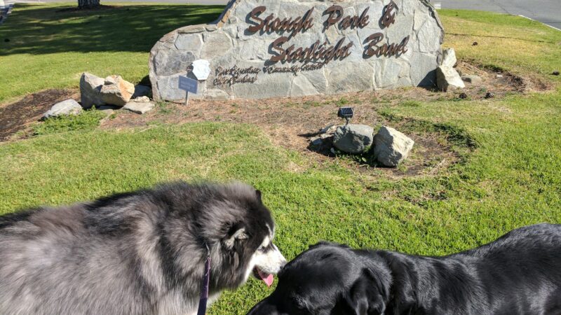 Stough Canyon Park - Burbank, CA