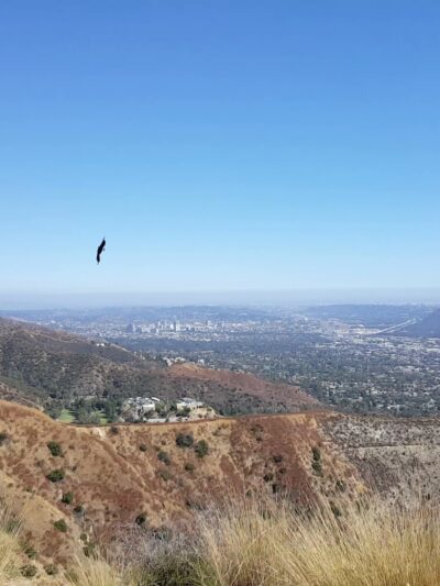 The Henry Cook Lookout Point - Burbank, CA