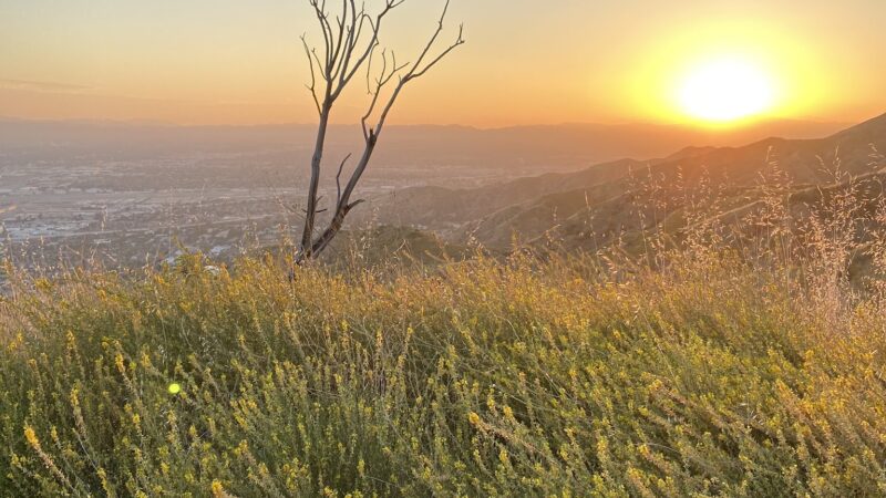 The Henry Cook Lookout Point - Burbank, CA