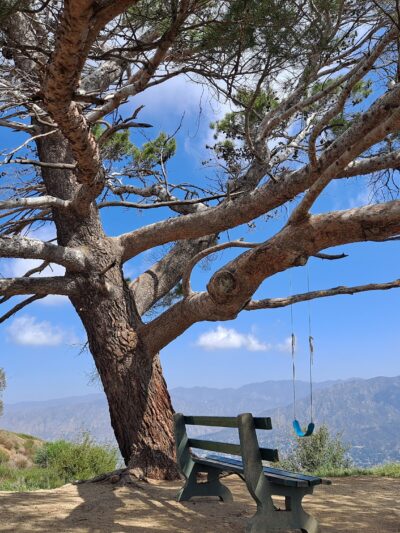 Wildwood Canyon Park - Burbank, CA