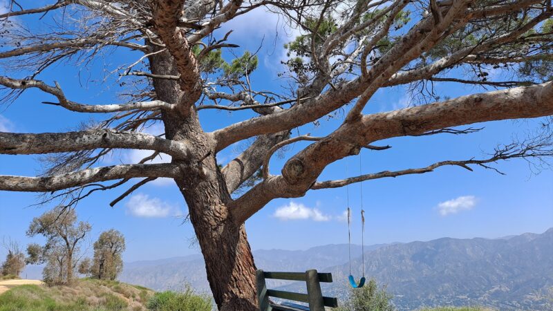 Wildwood Canyon Park - Burbank, CA