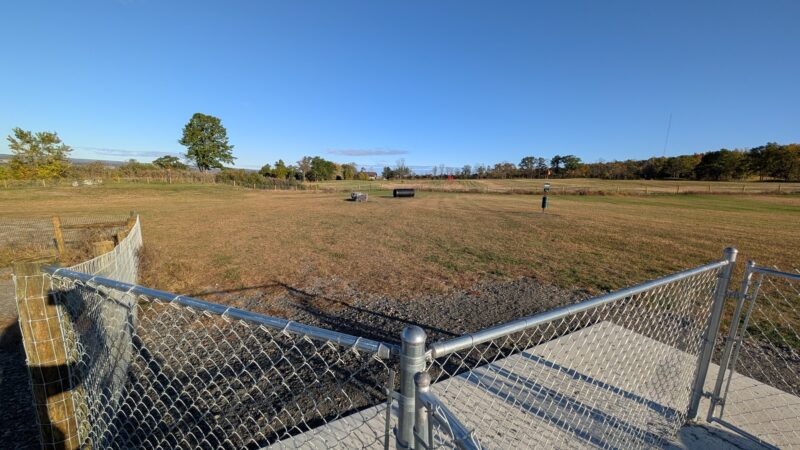 Beer Mountain Dog Park at Grist Iron Brewing Company - Burdett, NY