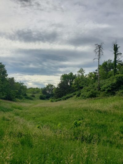Hillman State Park - Burgettstown, PA