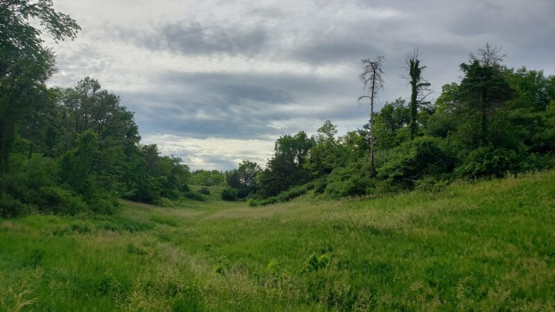 Hillman State Park - Burgettstown, PA