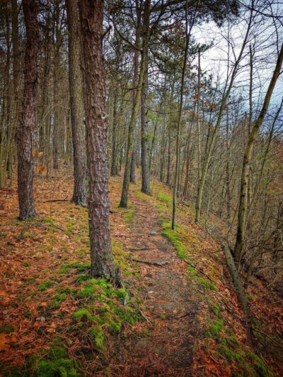 Hillman State Park - Burgettstown, PA